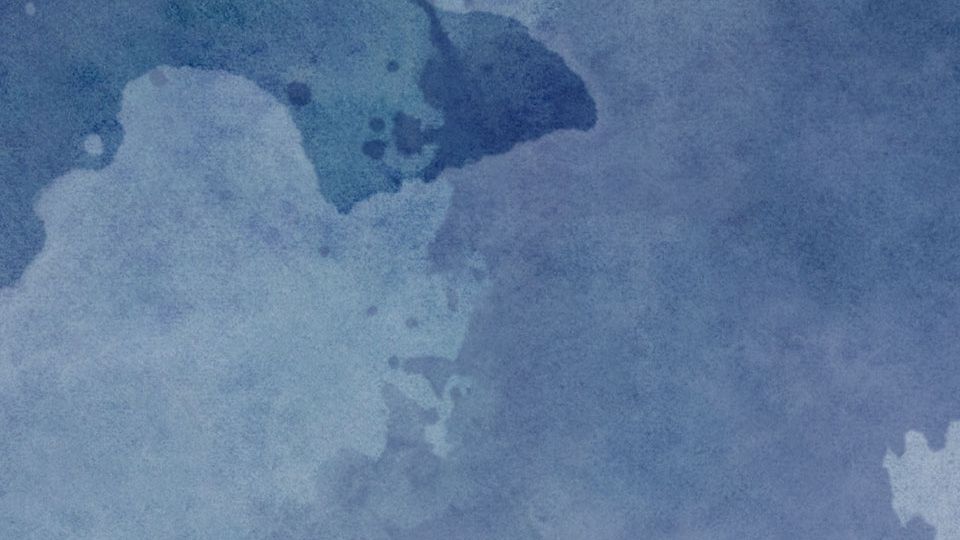 INDIGO-NAVIS2