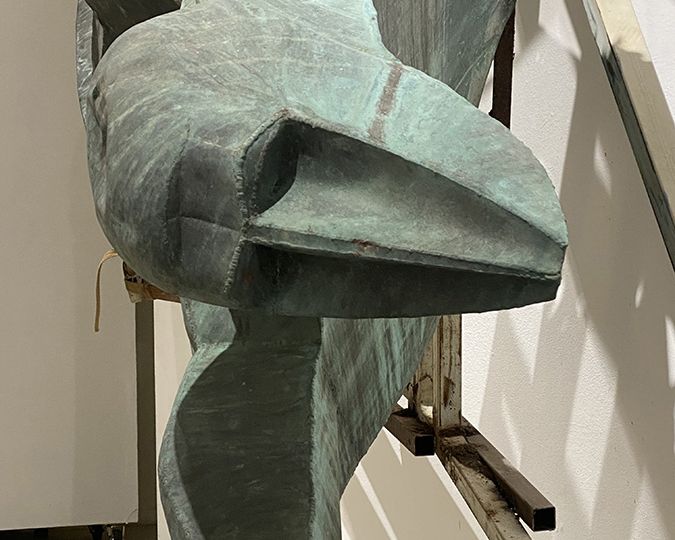Plaukiko fragmentas